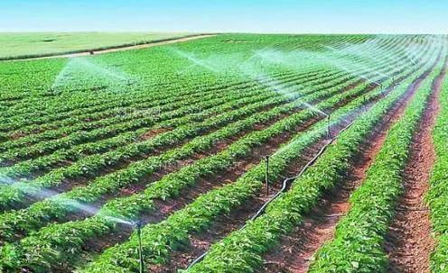 插入女人的屄视频农田高 效节水灌溉